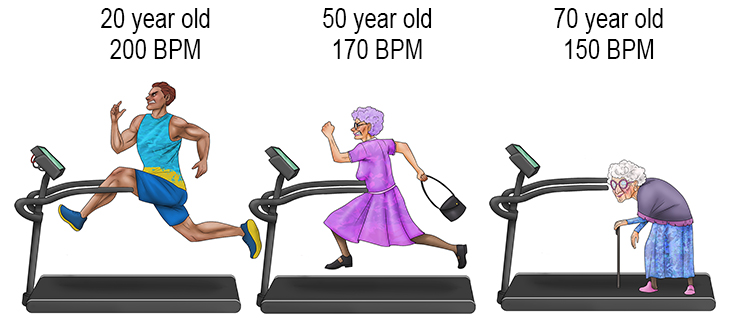 Maximal - Maximum heart rate all (maximal) age groups can achieve.